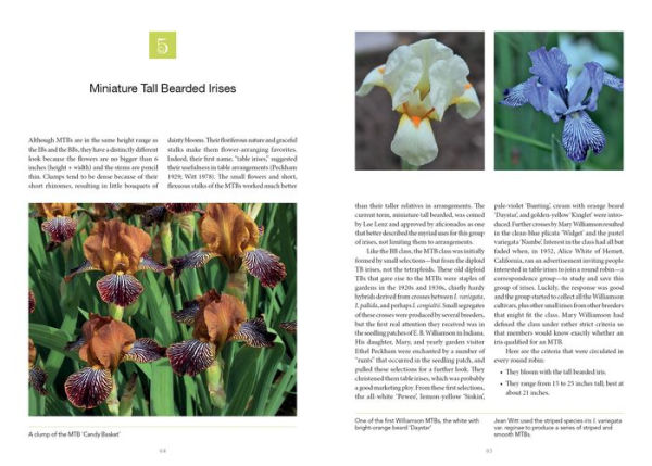 Dwarf and Median Bearded Irises: Jewels of the Iris World
