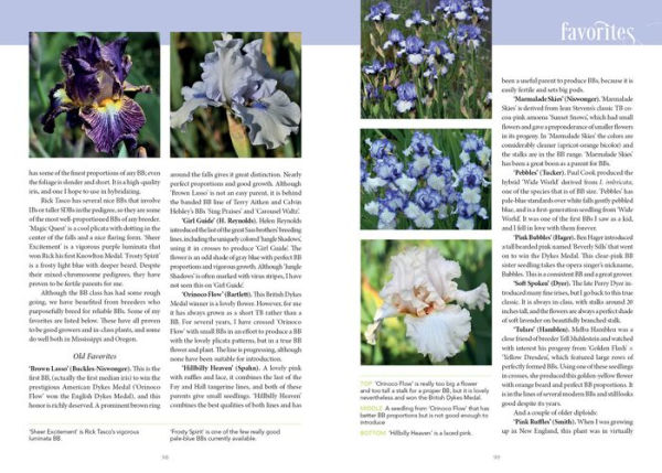 Dwarf and Median Bearded Irises: Jewels of the Iris World