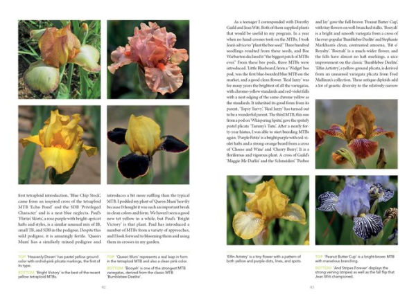 Dwarf and Median Bearded Irises: Jewels of the Iris World