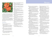 Alternative view 7 of Dwarf and Median Bearded Irises: Jewels of the Iris World