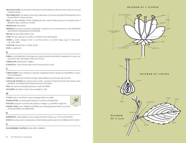 The AIFD Guide to Floral Design: Terms, Techniques, and Traditions