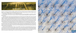 Alternative view 2 of Art from Above: Vermont
