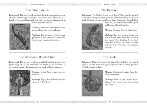 Celtic Book of the Dead: An Oracle to Steer Your Life Journey (Deck and Guidebook Box Set)