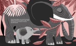 Alternative view 7 of What Do Animals Eat?