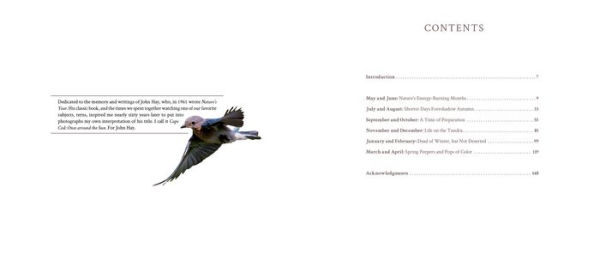 Cape Cod: Once Around the Sun