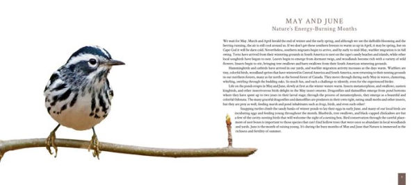 Cape Cod: Once Around the Sun