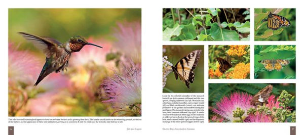 Cape Cod: Once Around the Sun