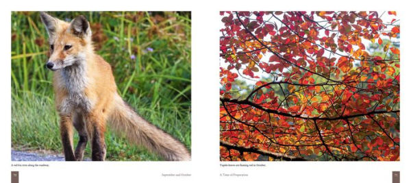 Cape Cod: Once Around the Sun