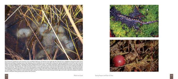 Cape Cod: Once Around the Sun