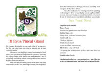 Alternative view 4 of The Healthy Witch Oracle Cards: (Oracle Kit Box Set with 33 Cards and Guide Book)