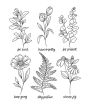 Alternative view 7 of On the Bright Side Coloring Book: Floral Patterns to Help You Relax, Unwind, and Focus on the Good