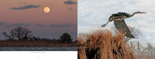 Kent Island Waterscapes