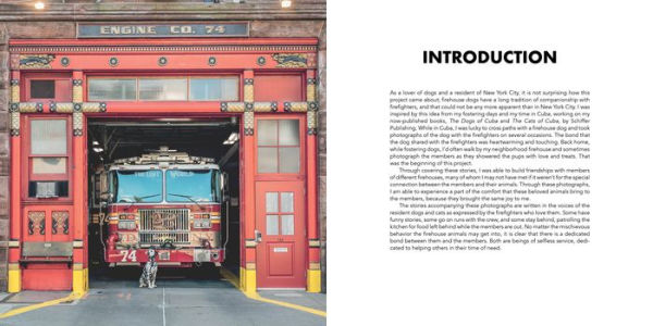Paws of Firefighters: The Dogs & Other Animals of New York Firehouses