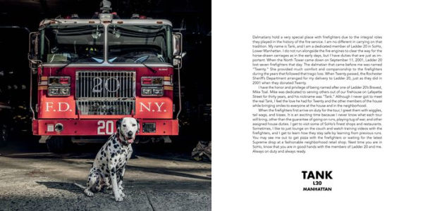 Paws of Firefighters: The Dogs & Other Animals of New York Firehouses
