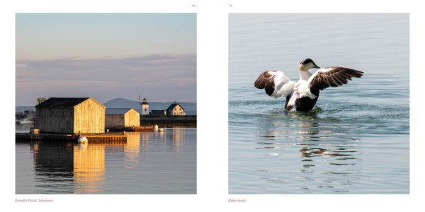 Maine: A Keepsake