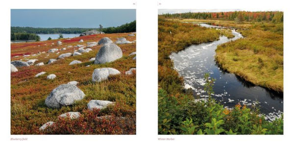 Maine: A Keepsake