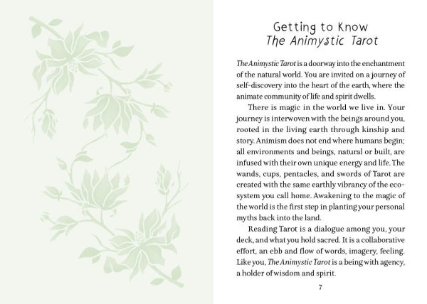 The Animystic Tarot: (Tarot Kit Box Set with 78 Cards and Guide Book)