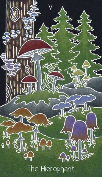 The Animystic Tarot: (Tarot Kit Box Set with 78 Cards and Guide Book)