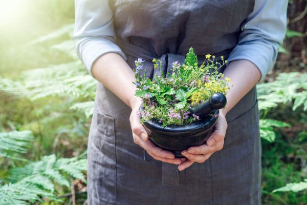 Saint Hildegard's Guide to Wellness: Herbalism, Nutrition, and Health Advice from a Trailblazing Medieval Nun