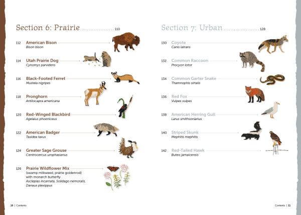 The Field Guide to Embroidery: 52 North American Animal and Plant Designs for Nature Lovers