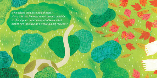 Frisky Face the Naughty Cat