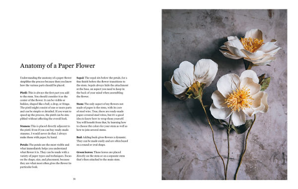 Paper Flower Magic: Techniques & Projects to Sculpt Your Own Garden of Realistic Blooms