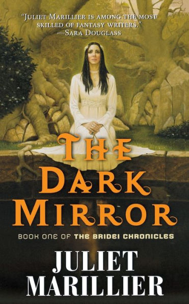 The Dark Mirror (Bridei Chronicles Series #1)
