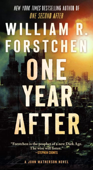 One Year After (John Matherson Series #2)