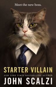 Free ebook downloads on computers Starter Villain