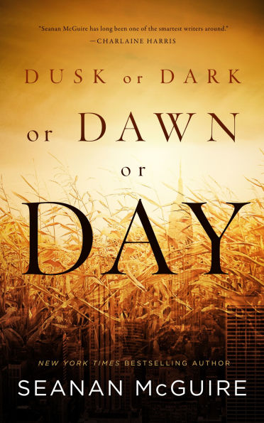 Dusk or Dark Dawn Day