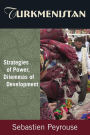 Turkmenistan: Strategies of Power, Dilemmas of Development: Strategies of Power, Dilemmas of Development / Edition 1