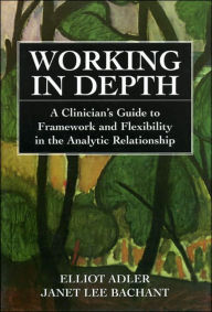 Title: Working in Depth: A Clinician's Guide to Framework and Flexibility in the Analytic Relationship / Edition 1, Author: Elliot Adler