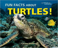 Title: Fun Facts about Turtles!, Author: Carmen Bredeson