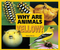 Title: Why Are Animals Yellow?, Author: Melissa Stewart
