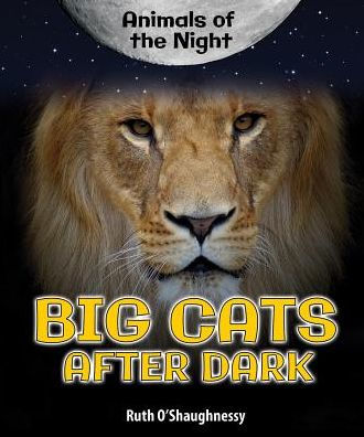 Big Cats After Dark