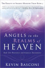 Angels in the Realms of Heaven: The Reality of Angelic Ministry Today