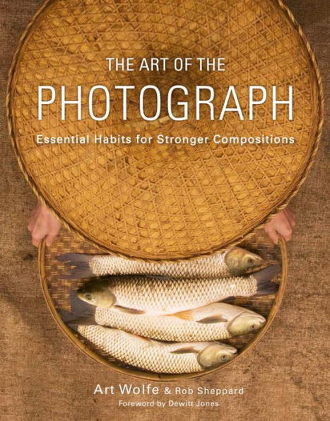 the Art of Photograph: Essential Habits for Stronger Compositions