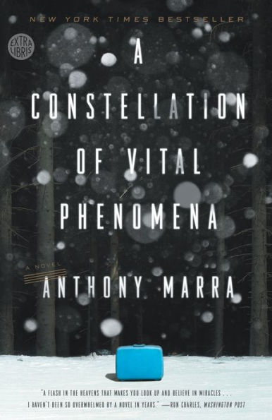 A Constellation of Vital Phenomena: A Novel