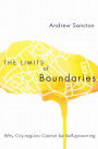The Limits of Boundaries: Why City-regions Cannot be Self-governing