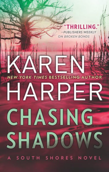 Chasing Shadows (South Shores Series #1)