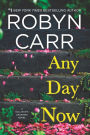 Any Day Now (Sullivan's Crossing Series #2)