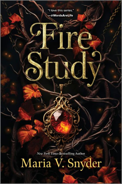 Fire Study: A Novel