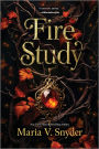Fire Study: A Novel