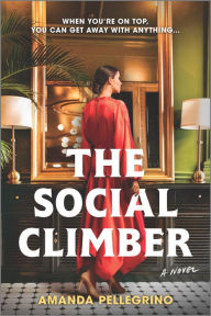 Download ebook pdf format The Social Climber: A Novel iBook