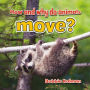 How and why do animals move?