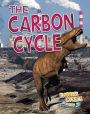 The Carbon Cycle