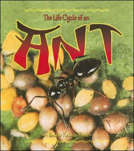 Title: The Life Cycle of an Ant, Author: Hadley Dyer