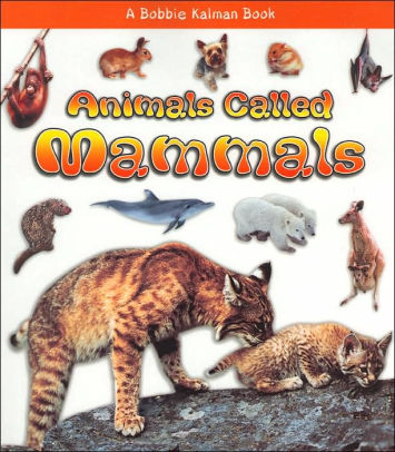 Animals Called Mammals (What Kind of Animal Is It? Series) by Bobbie