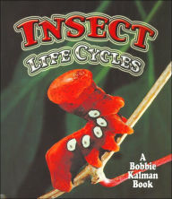 Title: Insect Life Cycles (World of Insects Series), Author: Molly Aloian