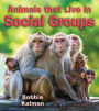 Animals that Live in Social Groups